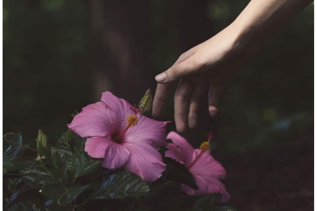 Tocco Consapevole – Guarigione Vibrazionale