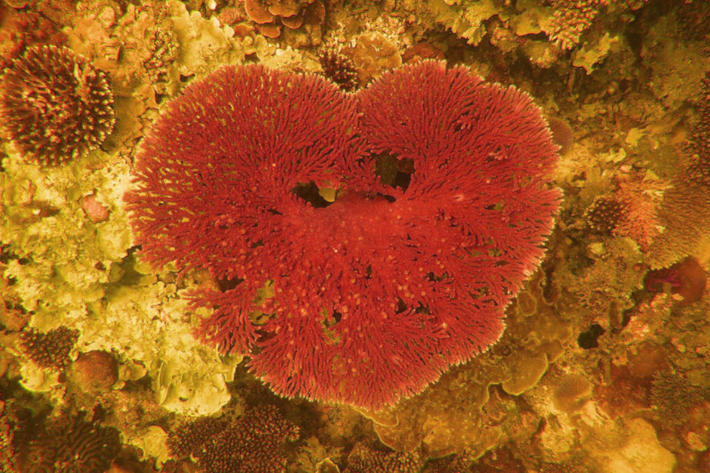 Pulsazione tantrica 3