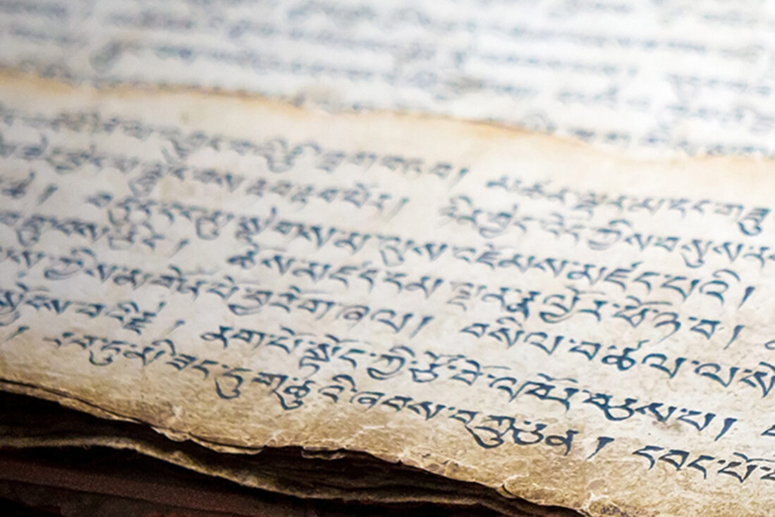 The Heart Sutra meditation retreat | Videha | Osho Miasto Tuscany