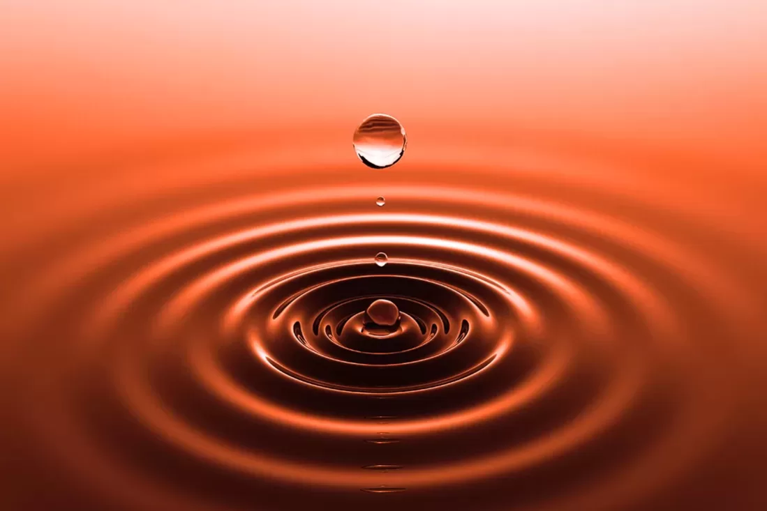 Voicing International Training 1