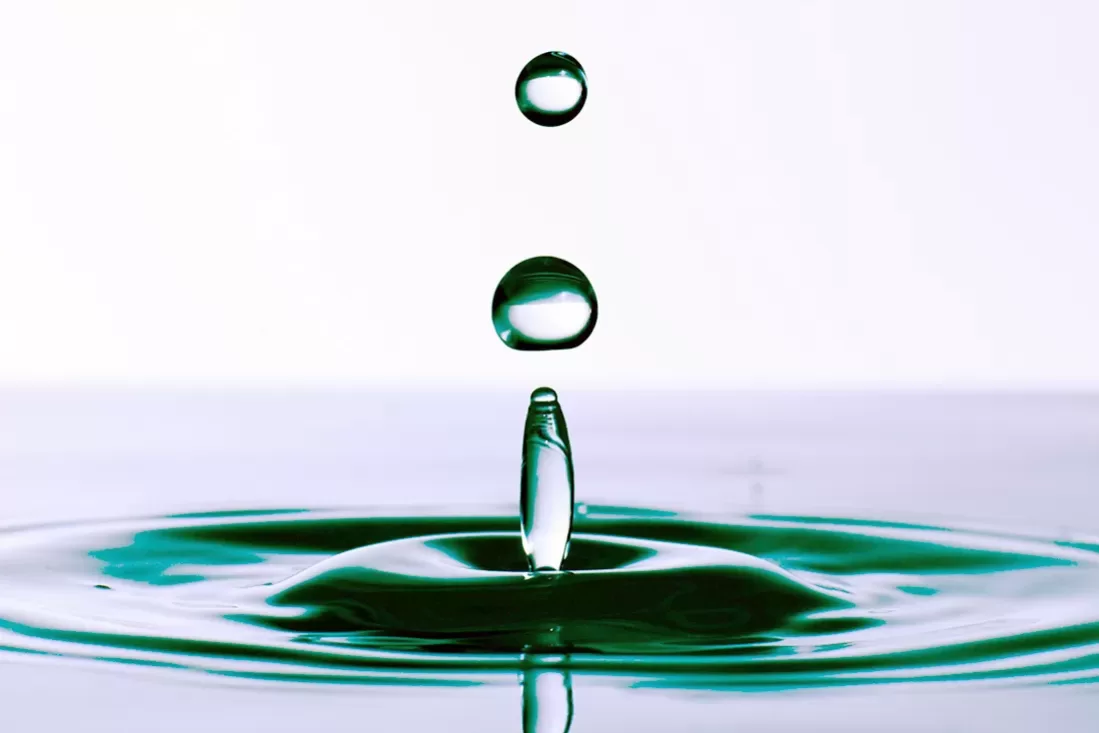 Voicing PRATICTIONER 5