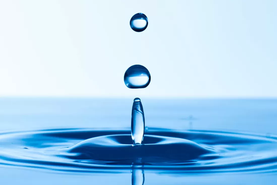 Voicing PRATICTIONER