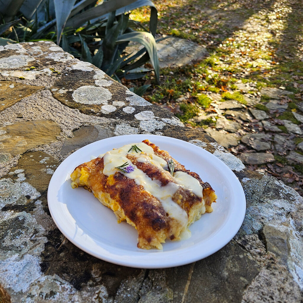 INGREDIENTI 12 Cannelloni 500g Zucca (precedentemente cotta in forno a pezzi a 190C per 20 min) 250g Ricotta100g Parmigiano