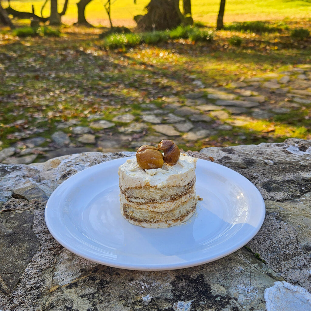 INGREDIENTI: 200g di Castagne cotte e pelate, 250g Mascarpone, 3 Uova, 100g Zucchero, 200ml Caffè Espresso Freddo, Cacao Amaro in Polvere