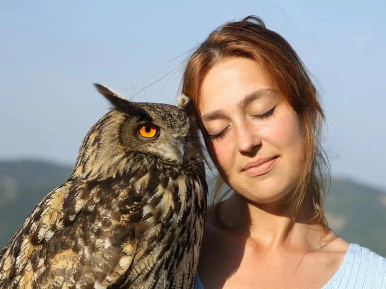 wild and wise